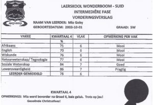 Afrikaans-English-School-Report-Translation-Pretoria_johannesburg_Cape_town